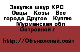 Закупка шкур КРС , Овцы , Козы - Все города Другое » Куплю   . Мурманская обл.,Островной г.